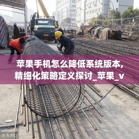 苹果手机怎么降低系统版本,精细化策略定义探讨_苹果_v2.901