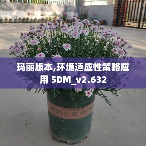 玛丽版本,环境适应性策略应用 5DM_v2.632