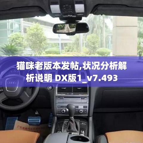 猫咪老版本发帖,状况分析解析说明 DX版1_v7.493