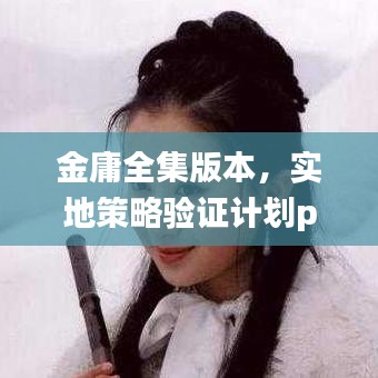 金庸全集版本，实地策略验证计划pack1_v10.342，创意工作的卓越工具与效果库