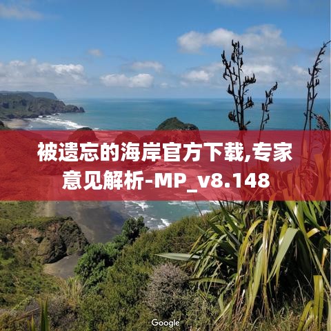 被遗忘的海岸官方下载,专家意见解析-MP_v8.148