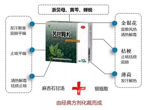 关于netkeeper官方下载山东,综合计划定义评估创意版_v9.680的免费版与专业版功能差异的对比介绍