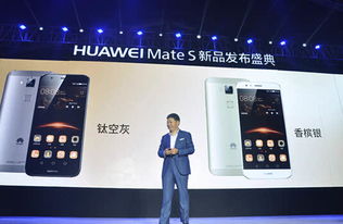 华为官方下载,综合解答解释定义 旗舰款_v9.627