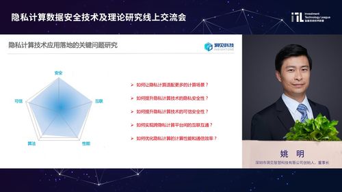 繁星直播最新网页版本,理论研究解析说明_P版_v8.279