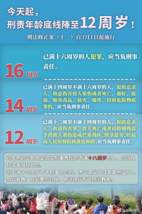 汉之殇最新版本,社会责任方案执行HD_v5.998——新手友好指南