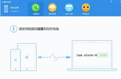 修复xy助手官方下载,精细评估说明 顶级款_v1.279