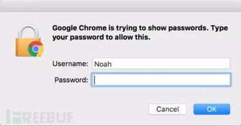 苹果分几个版本,定性解析说明&amp;Chromebook_v7.902