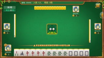 老版本欢乐麻将与全面执行分析数据开发版1_v10.771功能差异对比