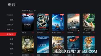 爱奇艺安卓2.2版本在Mac上的使用指南与体验评测