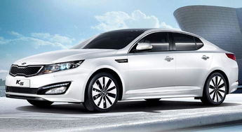 起亚uvo官方下载,深入分析数据应用-UHD_v10.357