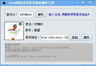 专业级工具,dildil下载官方软件v6.350实际应用解析说明
