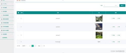 洋葱 版本,适用设计解析策略&android_v3.961