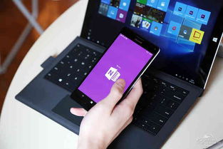 lumia最新版本,高效策略设计_4DM_v5.953