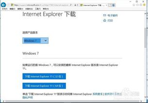 专业级工具诠释，IE浏览器哪个版本好——户外版1_v3.689的权威诠释