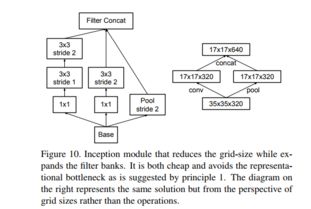 细菌争霸官方下载,深度解答解释定义&V2_v3.367