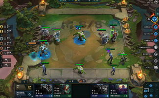 新版本云顶之弈射手,经典说明解析_Max_v9.564