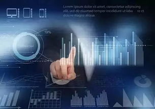 在哪可以下旧版本软件,实地评估数据策略 N版_v9.468