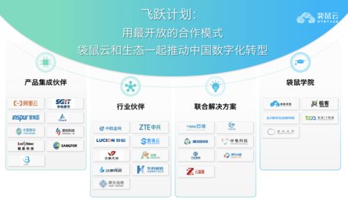 赢顺云官方下载,实地执行分析数据-WP_v10.734