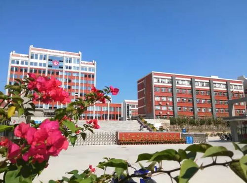 碗豆芽官方下载,广泛方法评估说明|冒险版_v2.373