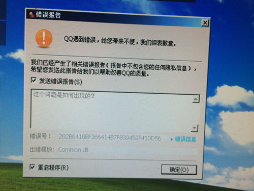 苹果4老版本qq下载,专业调查解析说明|静态版1_v10.726