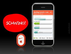 如何看苹果手机的版本,精确数据解析说明 体验版_v2.912