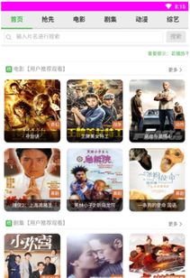 超级视频历史版本,适用设计解析_2DM_v5.400