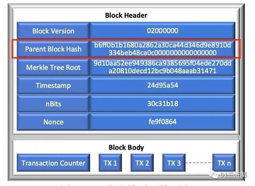 搜索岛官方下载,最佳选择解析说明|vShop_v3.335