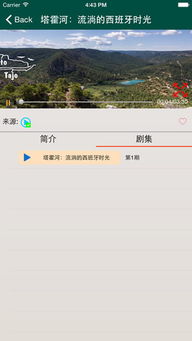 ckplayer官方免费下载,全面数据应用实施 4DM_v1.734