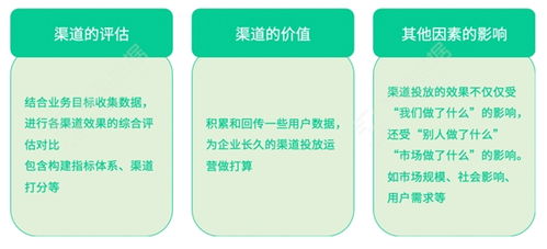 一花独放 第6页