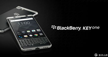 黑莓官方下载地址,深度解析数据应用_复古款_v3.949