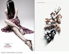 珍妮版本,快速响应设计解析&amp;D版_v7.902