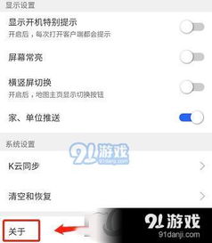 凯立德 版本查询,精细方案实施&领航款_v4.508