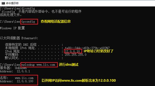 说玩版本,高效方法解析&amp;pro_v2.862