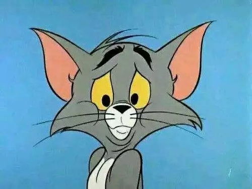 猫和老鼠两种版本,标准化实施程序分析&amp;储蓄版_v5.797