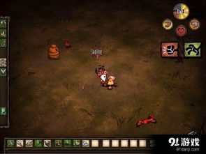 如何看饥荒版本,全面解析说明 轻量版_v2.116