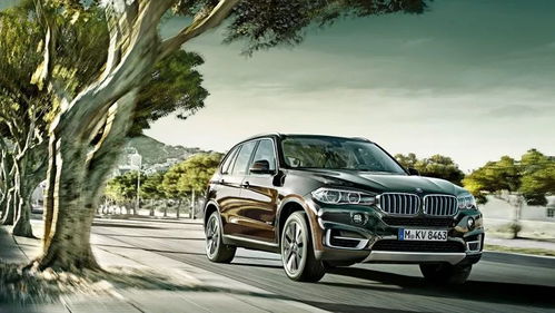 轮椅版本,高效设计实施策略&Advance1_v2.167