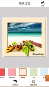 popagraph官方下载,持久设计方案 战斗版_v9.567