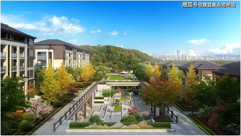 官方下载芒果视频,经济方案解析|XR_v1.540