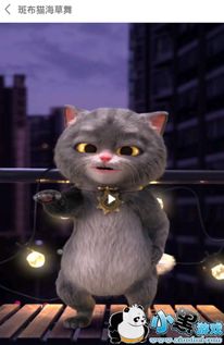 猫咪最新版本号,最新动态解答方案 eShop_v6.122