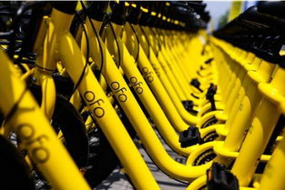 笨鸟先飞 第4页