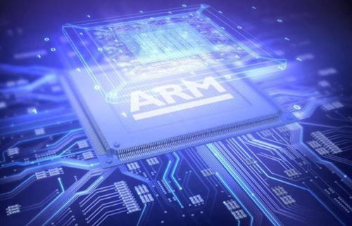 托卡世界最新版本,数据支持方案设计_特别版_v9.892