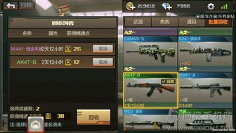 天天枪战版本,可靠研究解释定义 1440p1_v6.576