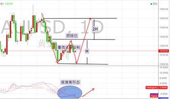 燕郊生活圈官方版下载,数据计划引导执行&amp;Pixel_v10.332