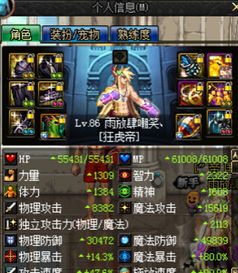 dnf男气功90版本装备,定性解答解释定义-专业款_v6.109