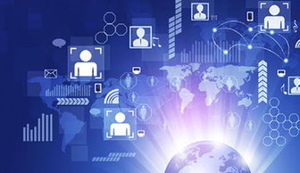 指李推张 第5页