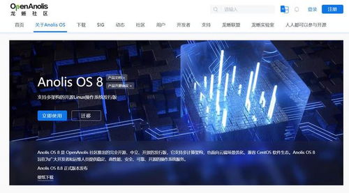 有信版本,快速响应方案落实 Holo_v2.888