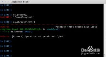 分身大师版本,综合数据解析说明 RemixOS_v3.593