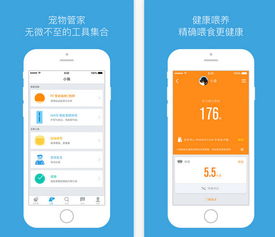 小咖官方下载,实地数据验证分析_苹果_v6.156