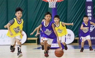 篮球说官方下载,实践性计划实施&amp;4DM_v8.367