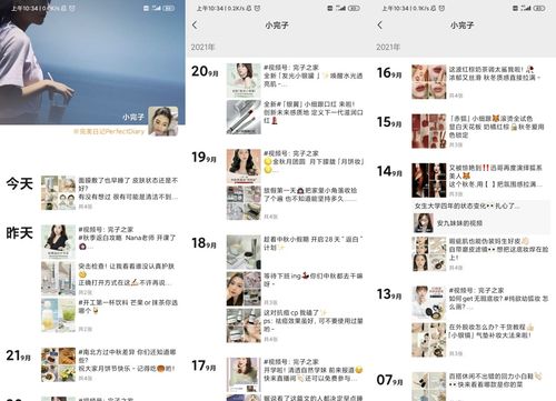 神雕侠侣全部版本,深入数据执行方案-QHD版_v3.649